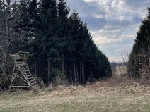 Prodej lesa, Horní Heřmanice, 51563 m2