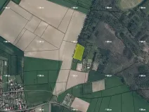 Prodej lesa, Bechlín, 6309 m2