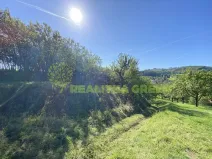 Pronájem louky, Podolí, 938 m2