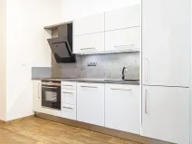 Pronájem bytu 3+kk, Ostrava, Horní, 89 m2