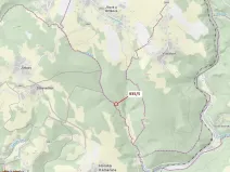 Dražba lesa, Jílové u Držkova, 88 m2