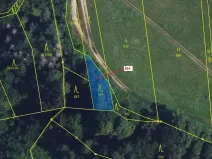 Dražba lesa, Spešov, 297 m2