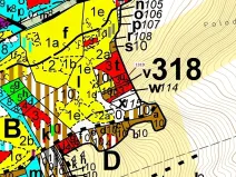 Dražba lesa, Spešov, 316 m2