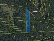 Dražba lesa, Vracov, 1702 m2