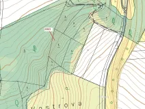 Dražba lesa, Jenišovice, 2305 m2