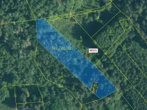 Dražba lesa, Zavlekov, 2895 m2