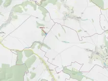 Dražba lesa, Přemyslovice, 7049 m2