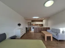 Pronájem bytu 1+kk, Brno, 50 m2