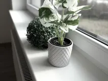 Pronájem bytu 2+kk, Brno - Ivanovice, Černohorská, 48 m2