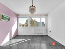 Prodej bytu 3+1, Hradec Králové - Slezské Předměstí, Polní, 58 m2