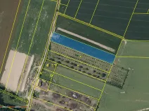 Prodej pole, Všesulov, 6065 m2