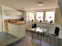 Pronájem bytu 1+kk, Plzeň - Vnitřní Město, Veleslavínova, 36 m2