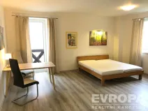 Pronájem bytu 1+kk, Plzeň - Černice, K Lutové, 47 m2