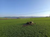 Prodej pozemku pro bydlení, Veverské Knínice, 800 m2