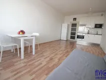 Pronájem bytu 1+kk, Praha - Vysočany, Freyova, 34 m2