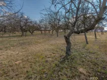 Prodej pozemku pro bydlení, Skalice, 1000 m2