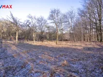 Prodej pozemku pro bydlení, Březnice, 1860 m2