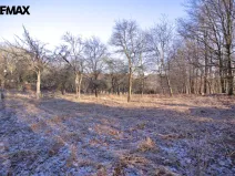 Prodej pozemku pro bydlení, Březnice, 1860 m2