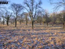 Prodej pozemku pro bydlení, Březnice, 1860 m2