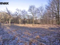 Prodej pozemku pro bydlení, Březnice, 1860 m2