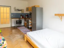 Pronájem bytu 1+kk, Praha - Žižkov, Biskupcova, 28 m2