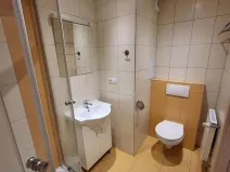 Pronájem bytu 1+1, Český Krumlov - Nádražní Předměstí, 37 m2