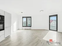 Pronájem bytu 2+kk, Plzeň - Jižní Předměstí, Železná, 52 m2