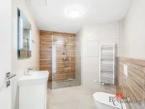 Pronájem bytu 2+kk, Plzeň - Jižní Předměstí, Železná, 52 m2