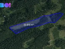 Prodej lesa, Jasenná, 58310 m2