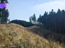 Prodej lesa, Jasenná, 58310 m2