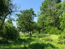 Prodej zahrady, Dalovice, 5231 m2