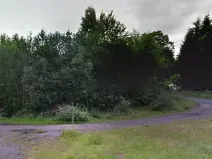 Prodej podílu lesa, Zlatá Olešnice, 574 m2