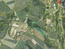 Prodej podílu lesa, Zlatá Olešnice, 574 m2