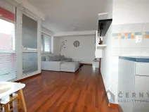 Pronájem bytu 3+kk, Liberec, Pod Rušičkou, 110 m2