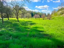 Prodej rodinného domu, Borušov, 236 m2