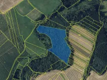 Prodej lesa, Rohozec, 20988 m2