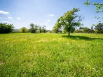 Prodej pozemku pro bydlení, Bučovice, 3623 m2