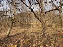 Prodej pozemku pro bydlení, Úhlejov - Chroustov, 12282 m2