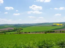 Prodej pozemku pro bydlení, Bučovice, Náhorní, 7851 m2