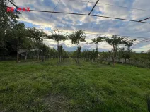 Prodej sadu/vinice, Dolní Dunajovice, 3118 m2