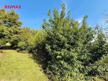 Prodej zahrady, Bílovice nad Svitavou, 589 m2