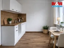 Pronájem bytu 1+1, Ostrava - Zábřeh, Čujkovova, 28 m2