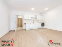 Prodej bytu 1+kk, Plzeň - Jižní Předměstí, Železná, 40 m2