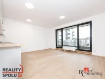 Prodej bytu 1+kk, Plzeň - Jižní Předměstí, Železná, 40 m2