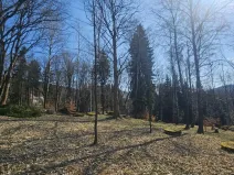 Prodej pozemku pro bydlení, Janov nad Nisou, 8231 m2