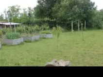 Prodej zahrady, Znojmo, 1809 m2