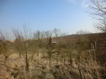 Prodej zahrady, Kunovice, 878 m2