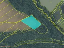 Prodej podílu pole, Bítov, 7251 m2