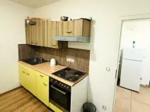 Prodej bytu 2+1, Plzeň - Skvrňany, Kreuzmannova, 48 m2