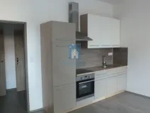Pronájem bytu 1+kk, Plzeň, Rubešova, 35 m2